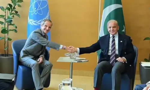 وزیراعظم کا پرامن جوہری تعاون کے فروغ کے عزم کا اعادہ