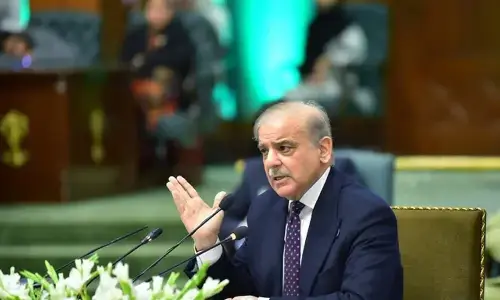 PM Shehbaz for establishment of independent Palestine state