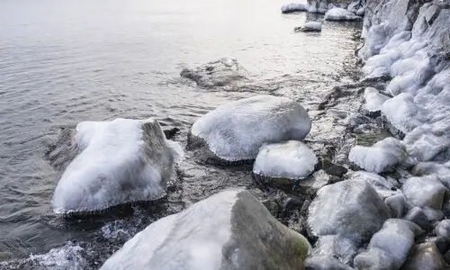 Seven Chinese tourists dead