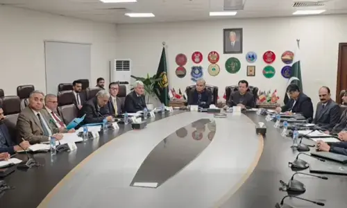 سمندر پار پاکستانیوں کو ہسپانوی ریزیڈنسی کارڈ کے حصول میں تعاون کی حکومتی یقین دہانی
