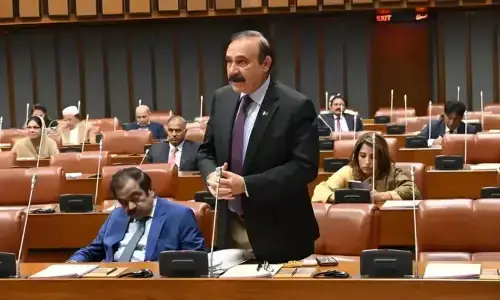 افغانستان میں فضائی حملوں میں کوئی شہری جاں بحق نہیں ہوا، سینیٹ کو بریفنگ