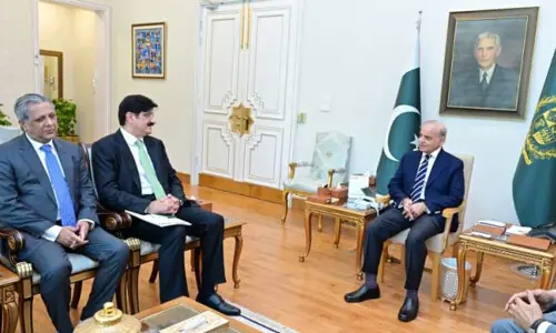 Karachi projects: PM pledges unwavering support to Sindh CM