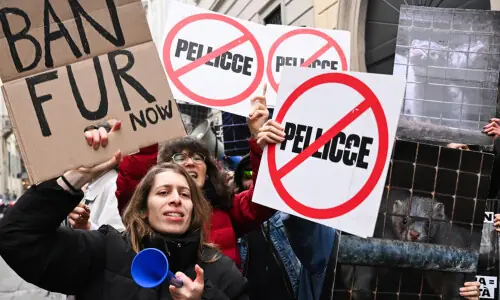 Activists pressure Milan Fashion Week to go fully fur-free