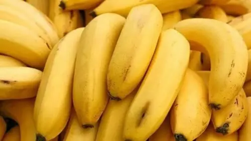 Banana waste to textile fiber: SMEDA launches &lsquo;innovative&rsquo; project