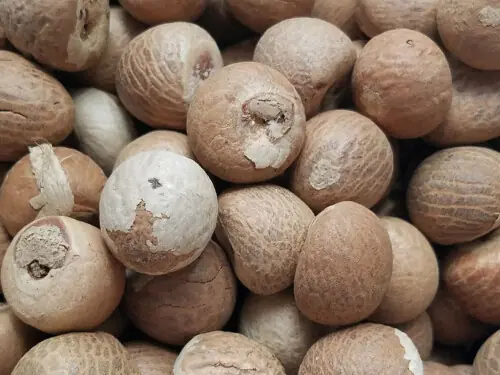 PFA seizes huge quantity of hazardous betel nut
