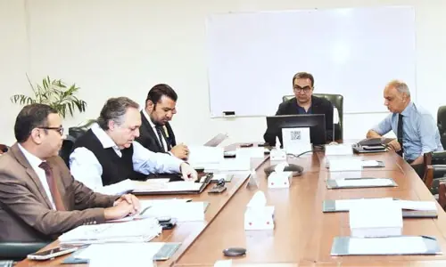 AHCL-led consortium: PC Board requests CCoP to approve inclusion of FFC