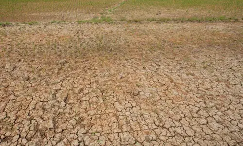 Dry weather expected across most parts of Pakistan: Met Office