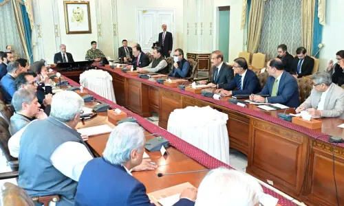 PM Shehbaz orders crackdown on petrol hoarding; directs real-time monitoring of stocks