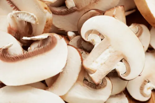PFA discards over 17,000 kg of expired mushrooms