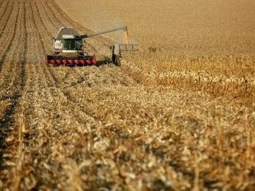 Digital transformation in agriculture