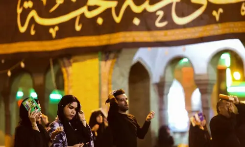 Foolproof arrangements made for Youm-e-Ali