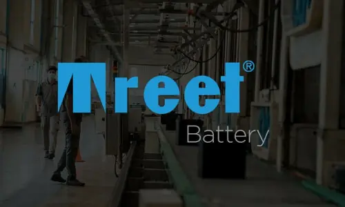 Treet Corporation Limited and Treet Battery Limited