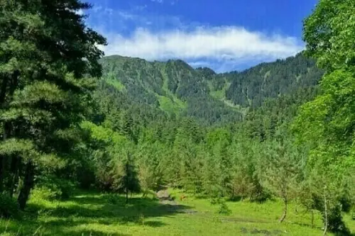 Pakistan submits 7NR on biodiversity to UN body