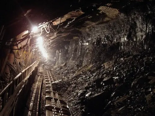 BLA &lsquo;charges&rsquo; a fixed amount per tonne of coal, Senate body told