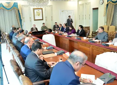 وزیراعظم نے وزیر پٹرولیم کو ایندھن کی فراہمی کے مسائل حل کرنے کی ہدایت کردی
