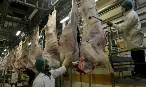 وزارت تجارت کا گوشت کی برآمدات پر اضافی چارجز پر کارروائی کا مطالبہ