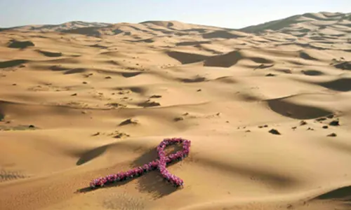 Thar: From sand to silicon&mdash;why global investors should look to Pakistan&rsquo;s desert frontier