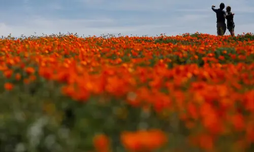 LA28 unveils floral-inspired visual identity for 2028 Olympics