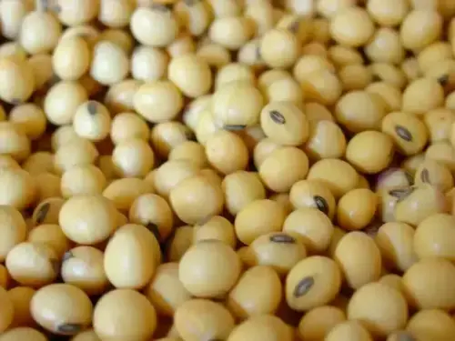 Chicago soybeans fall on prospect of Middle East ceasefire