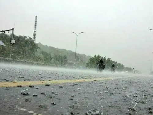 The Weather