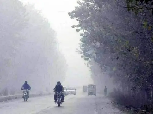 The Weather