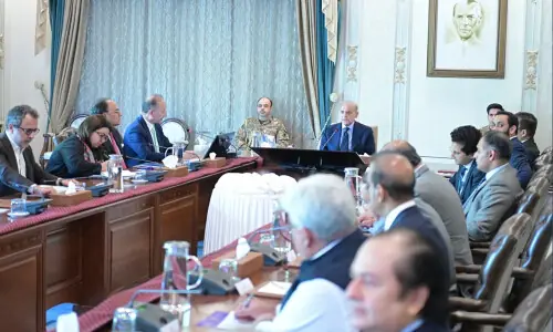 PM Shehbaz orders crackdown on petroleum smuggling, hoarding