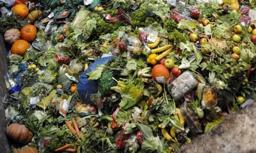 The true price of waste