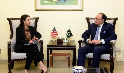 Aurangzeb, US envoy discuss economic cooperation, investment prospects