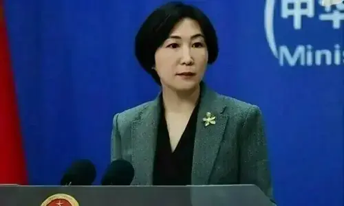 پاک افغان امن مذاکرات مستحکم طریقے سے آگے بڑھ رہے ہیں، چین