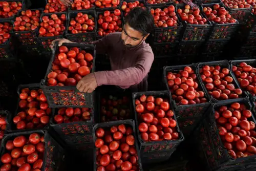 Pakistan pushes climate&ndash;commerce integration to secure food supply system