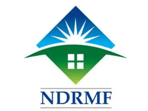 Amir Goraya made NDRMF CEO