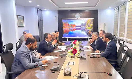 Canadian envoy seeks govt support for JCM Power