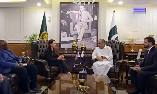 Naqvi assures US envoy of &lsquo;watertight security&rsquo;