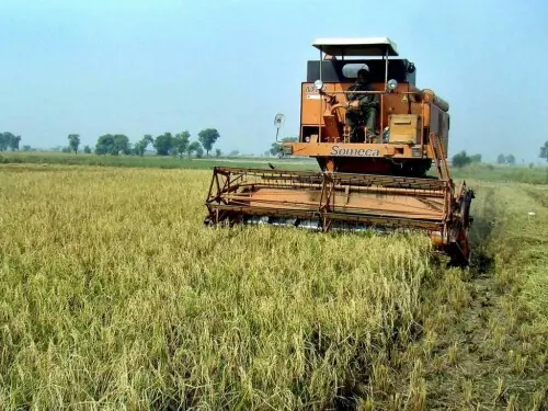Punjab organises consultative session to modernise agricultural economy