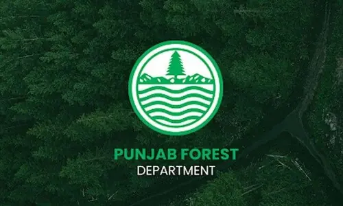 Karol Forest: PFD, Beaconhouse School plant 25,000 saplings