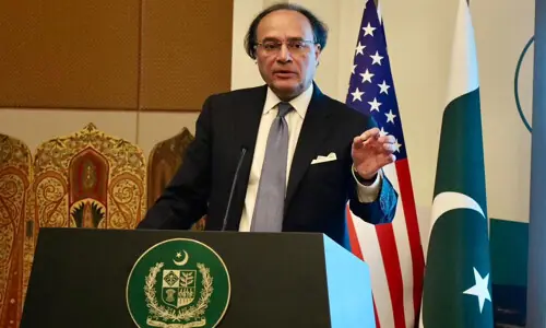 Pakistan diaspora leadership dialogue on remittances & RDA held