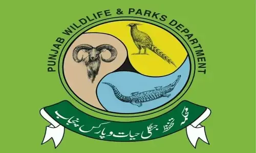 Punjab intensifies crackdown on wildlife crimes Punjab intensifies crackdown on wildlife crimes