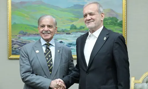 PM Shehbaz, Iran&rsquo;s president discuss regional situation, peace efforts