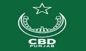 CEO CBD reviews strategic projects