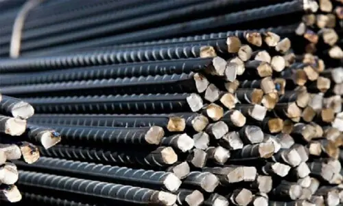 Iran bans steel exports: media