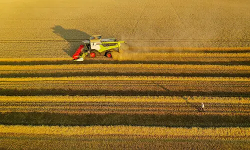 French grain crop conditions worsen as dry weather continues French grain crop conditions worsen as dry weather continues