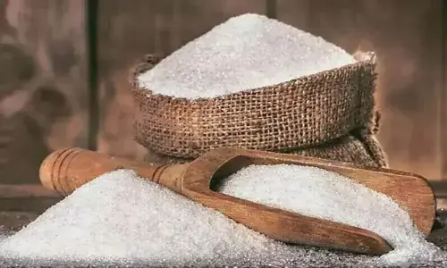 وافر چینی کی برآمد سے تجارتی خسارے میں کمی آئے گی، لاہور چیمبر