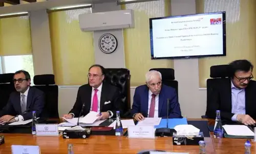 ای سی سی نے اپنا گھر پروگرام کیلئے ہاؤسنگ فنانس بڑھانے کی منظوری دیدی