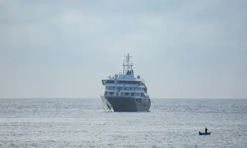 Human-to-human hantavirus strain confirmed in cruise passenger: S. Africa