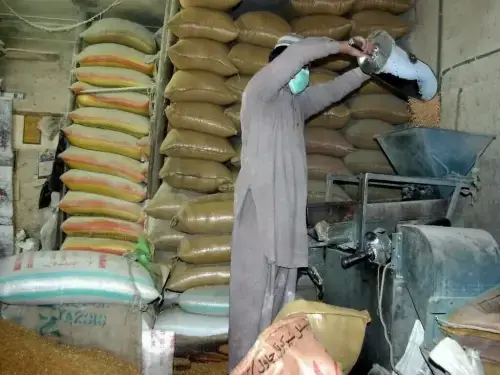 پنجاب کے فلور ملرز کا حکومتی ہدف پورا ہونے تک گندم ذخیرہ نہ کرنے کا اعلان