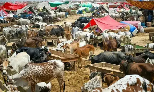 ذوالحجہ کا چاند نظر آگیا، عیدالاضحیٰ 27 مئی کو ہوگی