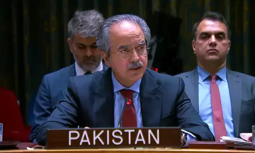 Developing countries: Pakistan demands debt relief, financing access