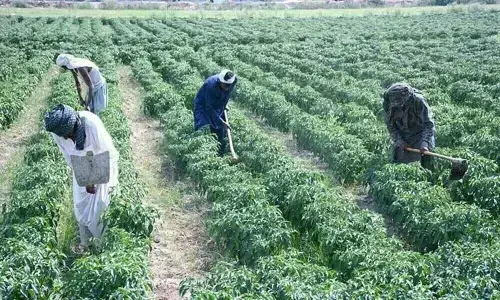 What the food security meetings never discuss