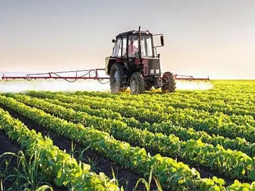 Cotton growers urged to take steps to insulate their crops from heatwave
