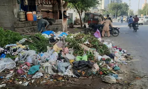 Rs50,000 fine for improper offal disposal